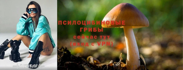 ALPHA PVP Алзамай