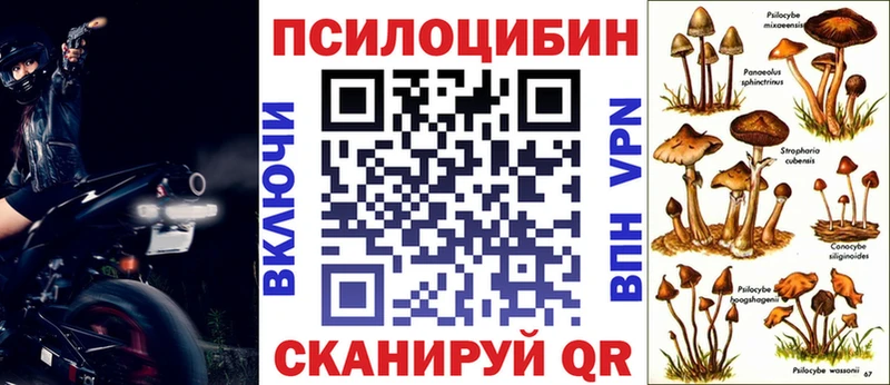 Галлюциногенные грибы мицелий как найти закладки даркнет как зайти Менделеевск