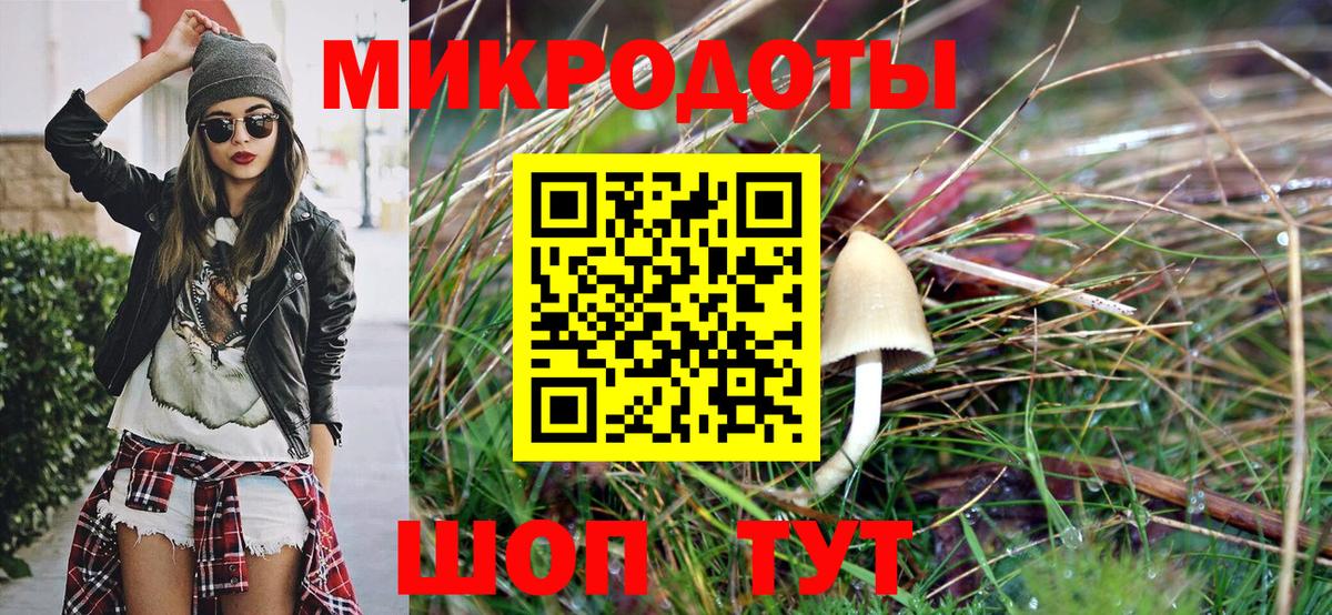 Псилоцибиновые грибы прущие грибы Менделеевск