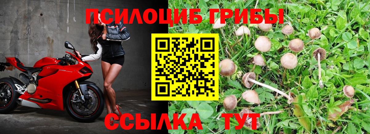 Псилоцибиновые грибы мухоморы  Вход с VPN  где найти наркотики  Менделеевск 